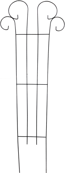 18 x 47 Inch Scroll Plant Trellis Black - 12 per case - Trellis